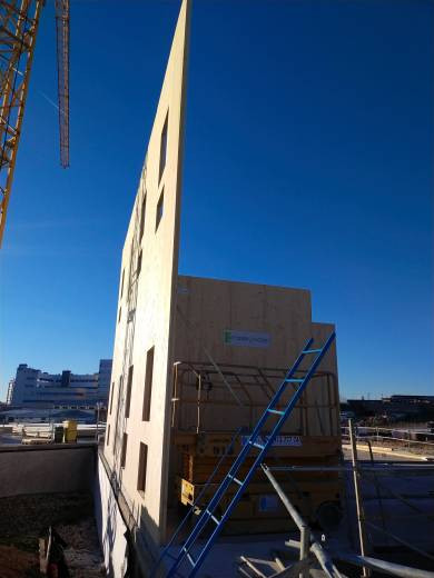 SE INICIAN LOS TRABAJOS DE ESTRUCTURA DE MADERA EN LA RESIDENCIA CAMPUS FOR LIVING CITIES